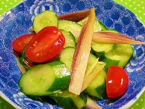 胡瓜とトマトの白だし漬け