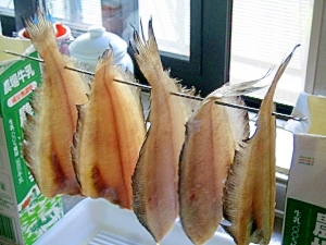 牛乳パックで一夜干し レシピ 作り方 By Hiromu 楽天レシピ 牛乳パックで一夜干し レシピ 作り方 By Hiromu 楽天レシピ