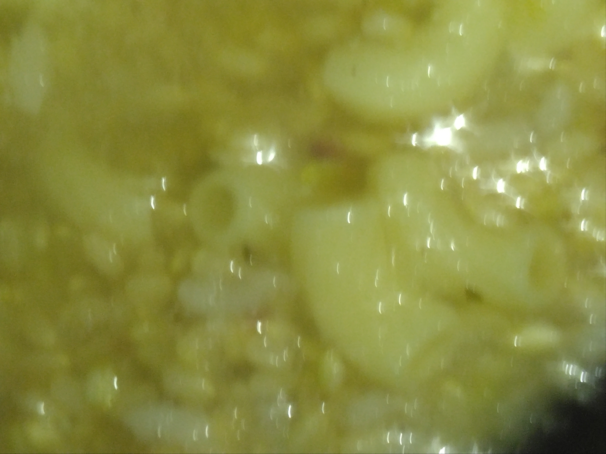EXVオリーブ油お塩マカロニ玄米ご飯スープ