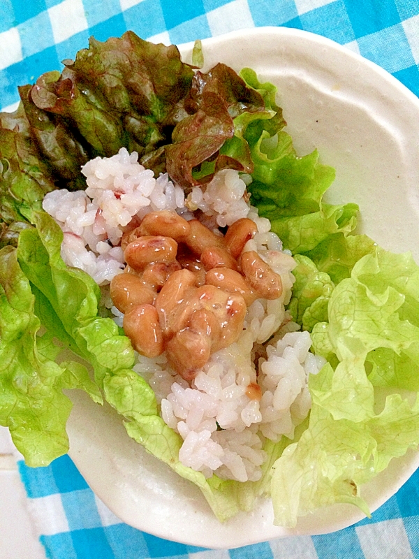 納豆ご飯のレタス巻き レシピ 作り方 By Thank You Good Bye 楽天レシピ 納豆ご飯のレタス巻き レシピ 作り方 By Thank You Good Bye 楽天レシピ