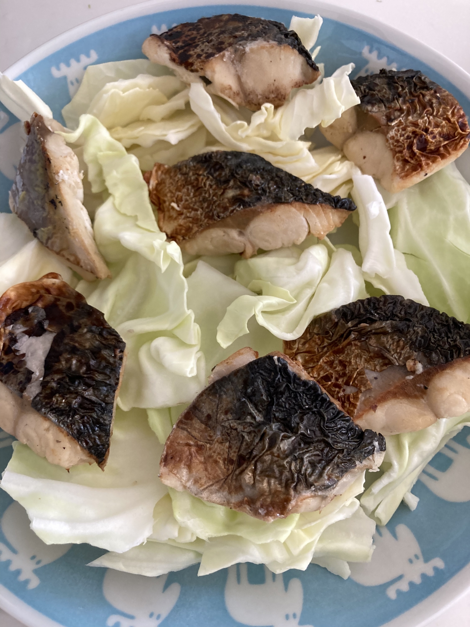 鯖の塩焼きの蒸しキャベツ！