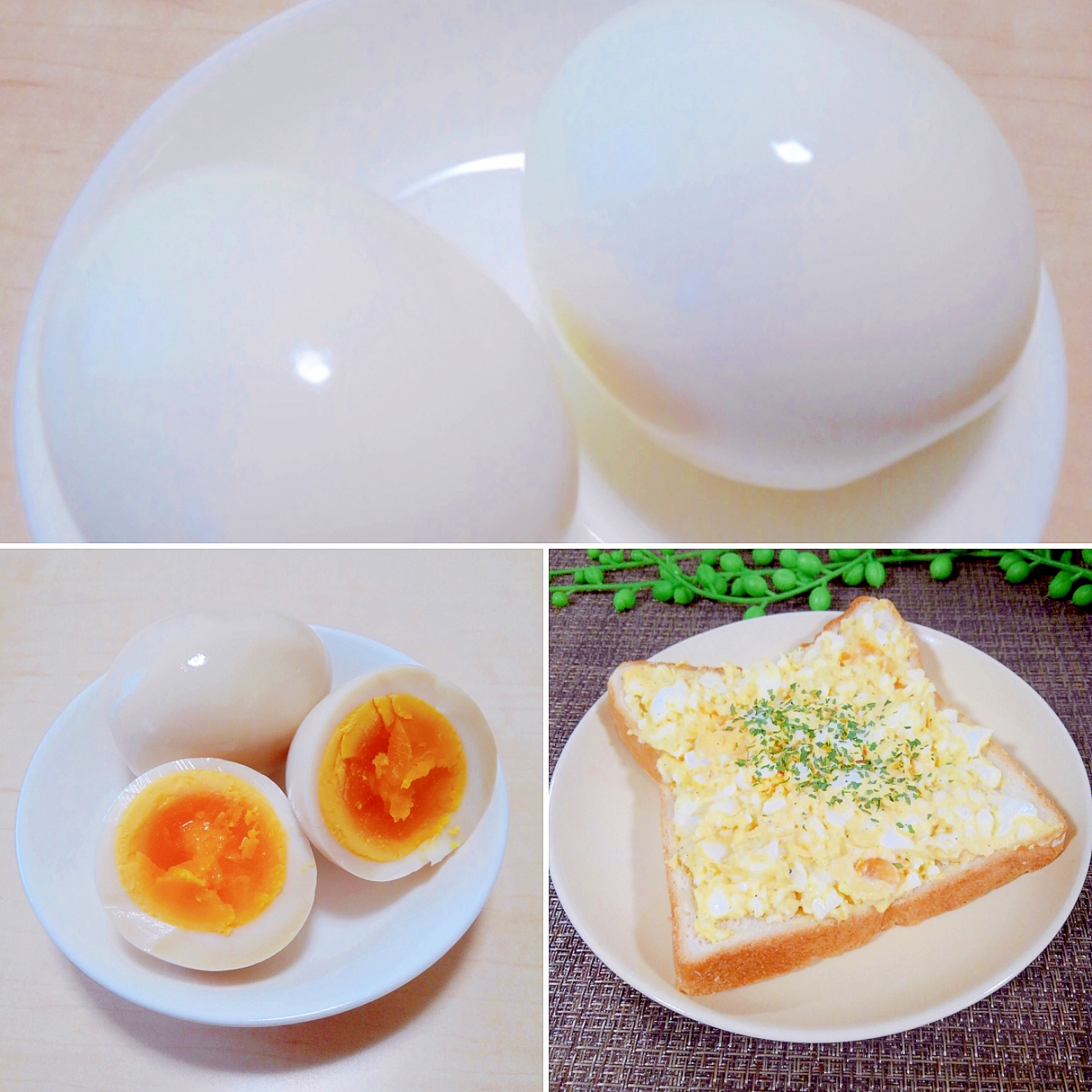 ゆで卵＆味卵＆マヨ卵‼（初めての方用）
