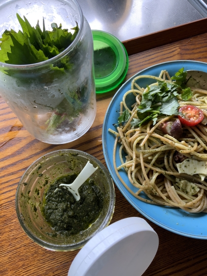 何度も作ってます！業務スーパーでシソがやっと少し安くなり。冷凍出来るとは♪トマトx冷凍茹でタコのスパゲッティと合わせました。残り20枚は密閉して冷蔵庫水栽培