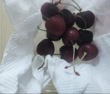 食べ切れなかったさくらんぼの保存方法
