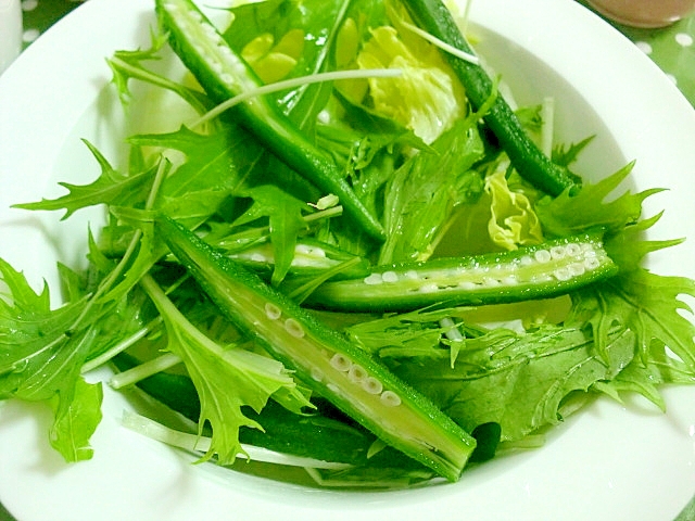 オクラと水菜とレタスの簡単サラダ♪