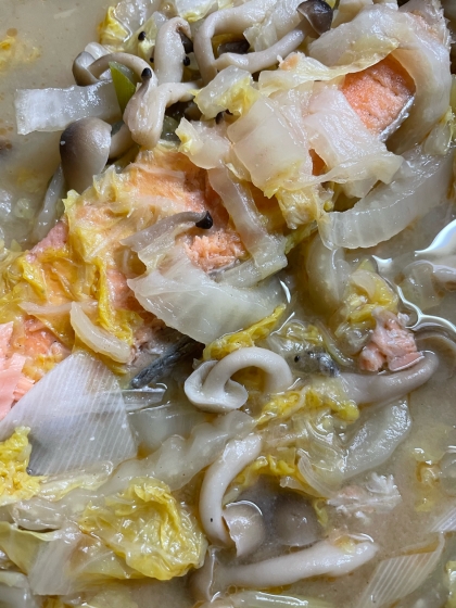 秋鮭と白菜の中華風煮込み