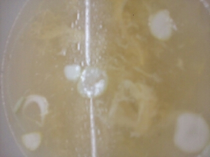 白ネギの卵スープ