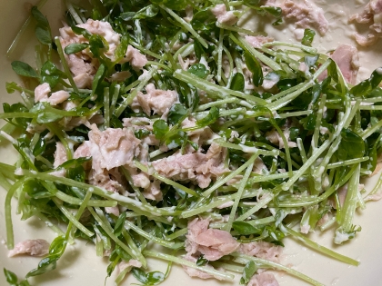 豆苗とツナのサラダ