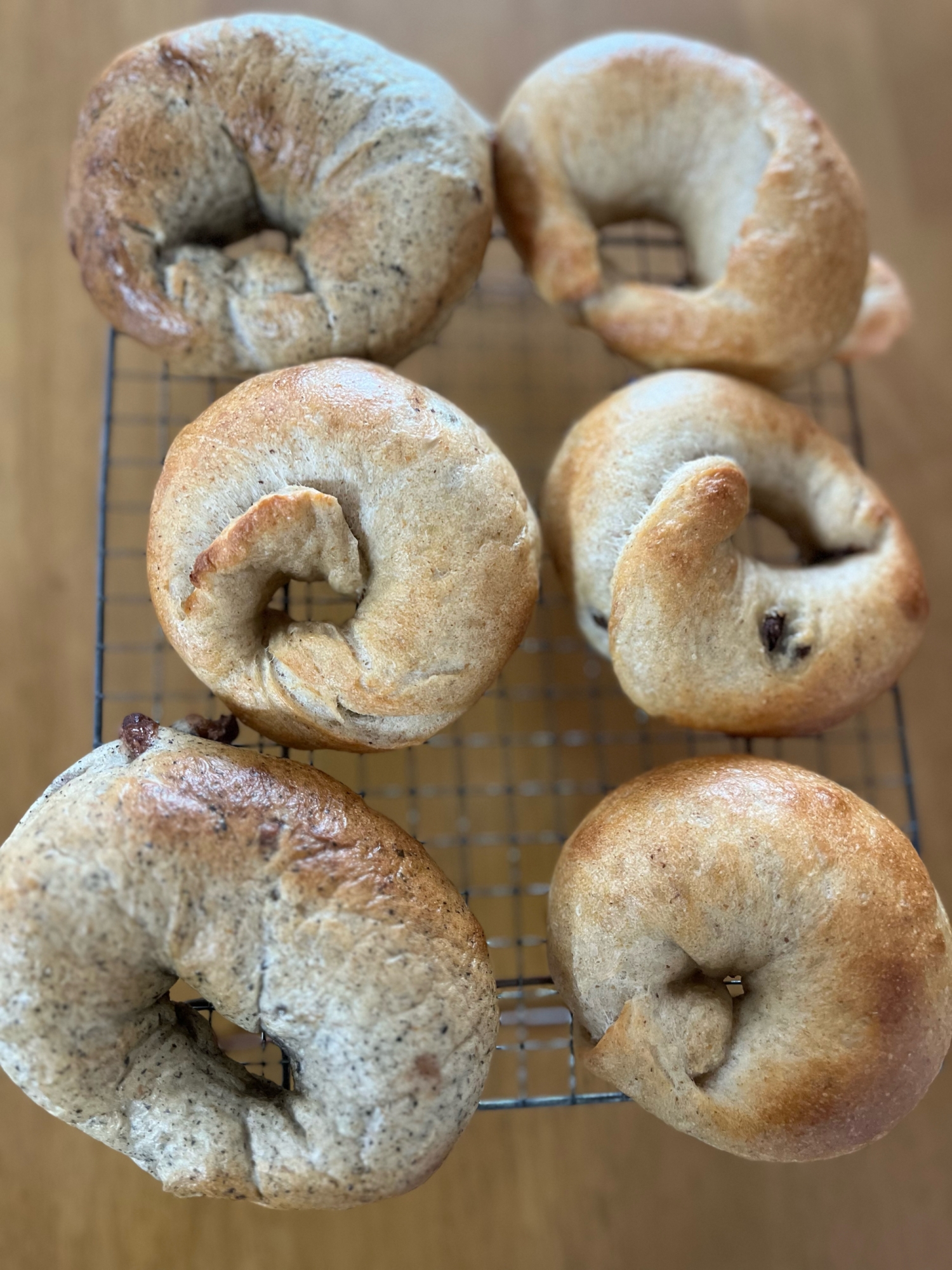 自家製プルーン酵母のベーグル⭐︎ビール酵母粉末使用