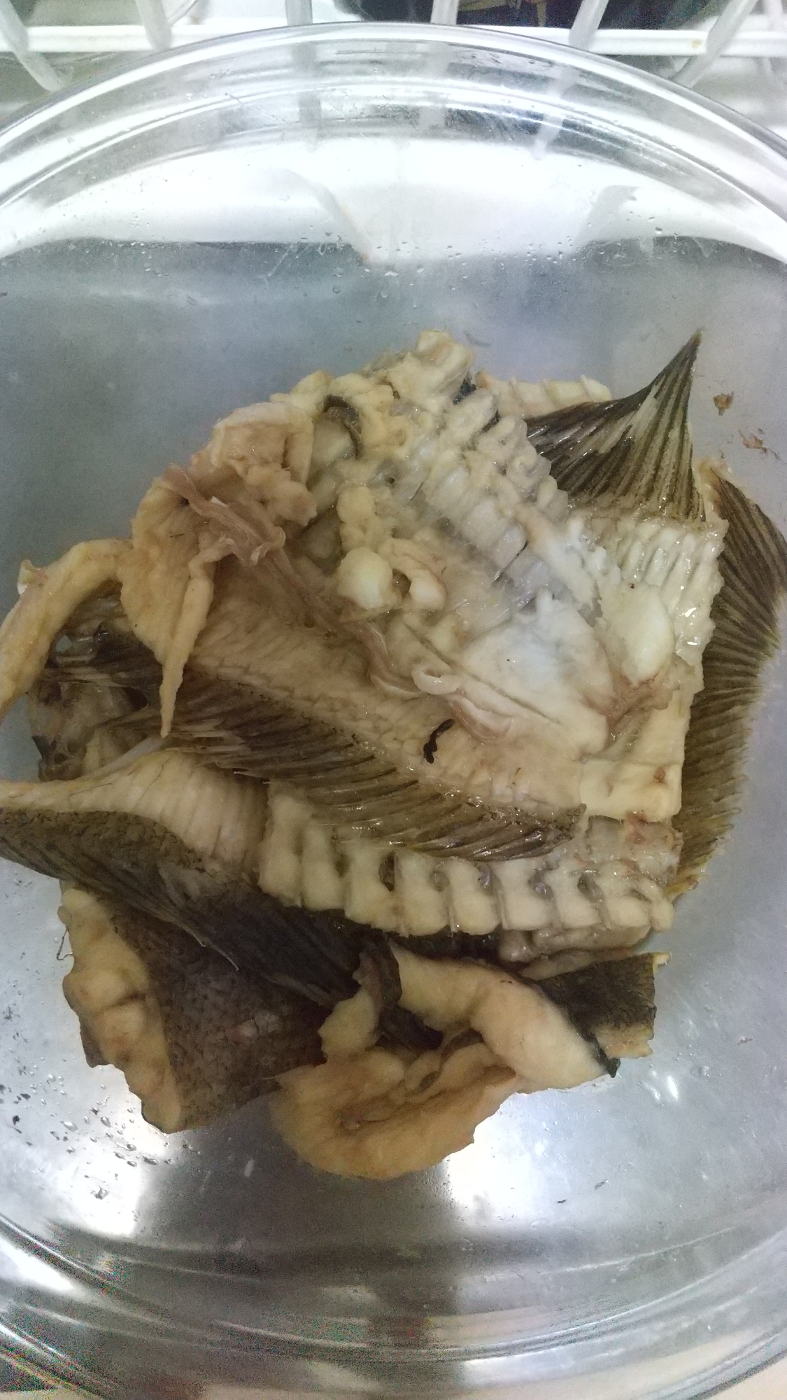 ヒラメのアラの煮付け レシピ 作り方 By 料理大好きえみちゃん 楽天レシピ ヒラメのアラの煮付け レシピ 作り方 By 料理大好きえみちゃん 楽天レシピ