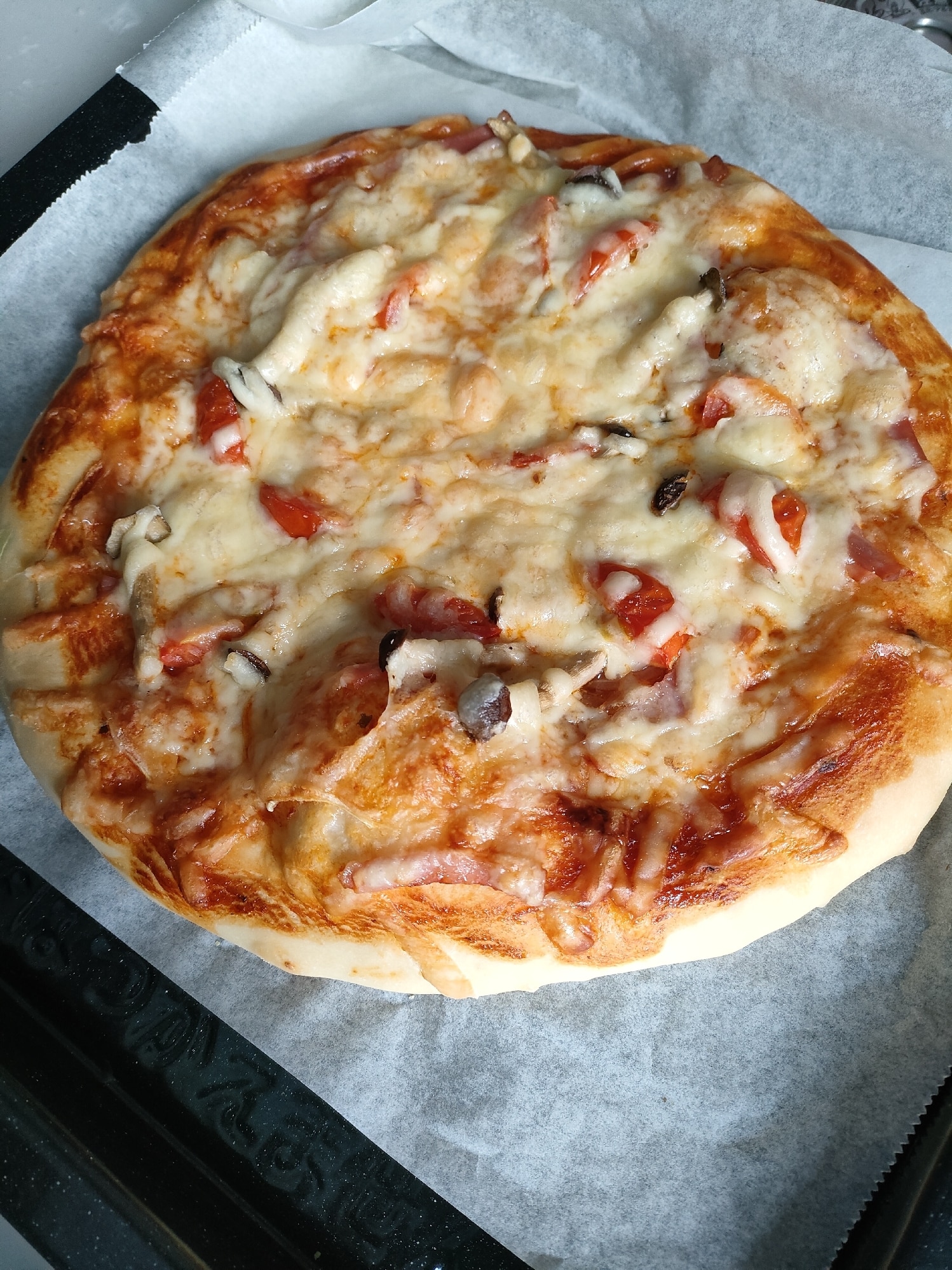 521円 おトク ピザ生地 トマトソース チーズが入った手作りピザキット 誰でも簡単に 生地から伸ばして 楽しく 美味しいピザがつくれます Mサイズ 23cm