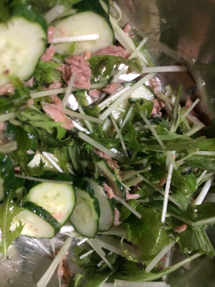 水菜ときゅうりのシーチキンドレッシングサラダ