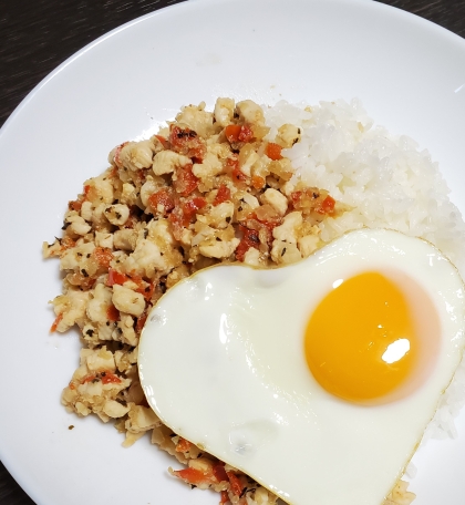 初めて作るガパオライスでした！普段エスニックな料理は好まない主人もぱくぱくと食べてくれて嬉しかったです♪ごちそうさまでした！