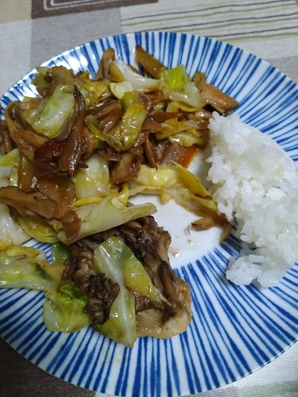 舞茸が好きなので野菜炒めにはいつも使います。焼肉のタレで味付けも簡単ですね。