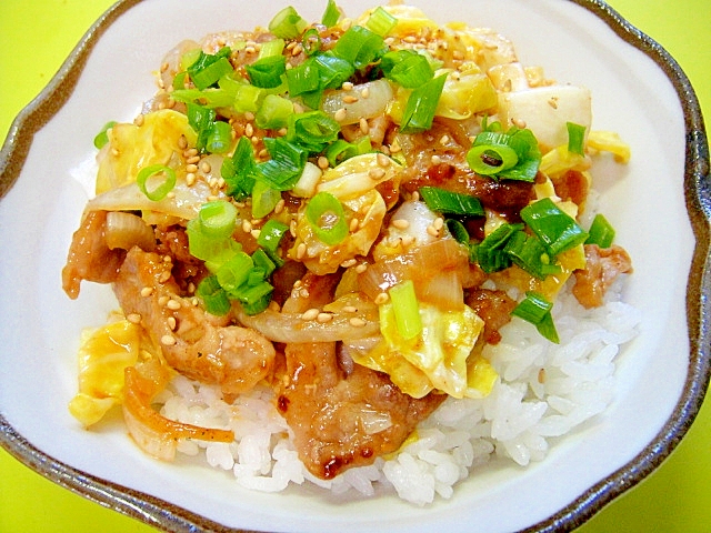 春キャベツと豚肉の甘辛丼