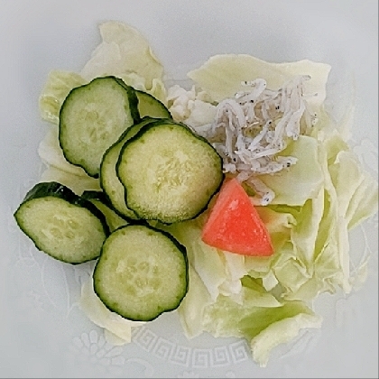 あるものでしらすのサラダ美味しく頂きました(*^-^*)
