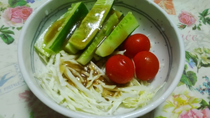 きゅうりとトマトのサラダ