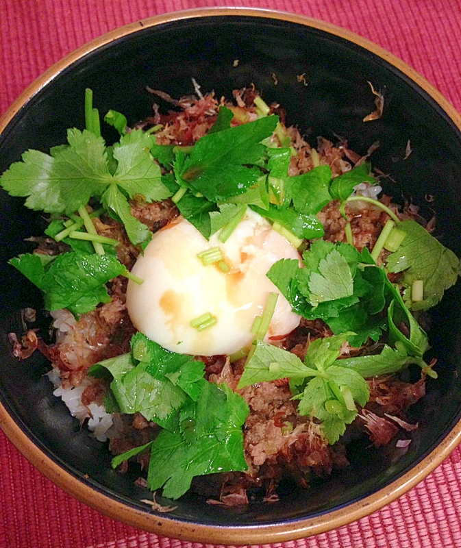 牛豚ミンチの温玉のっけそぼろ丼