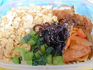 卵のそぼろと野沢菜と昆布のお弁当