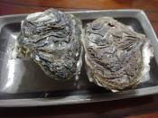 岩牡蠣の酒蒸し レシピ 作り方 By Yohei0 楽天レシピ 岩牡蠣の酒蒸し レシピ 作り方 By Yohei0 楽天レシピ