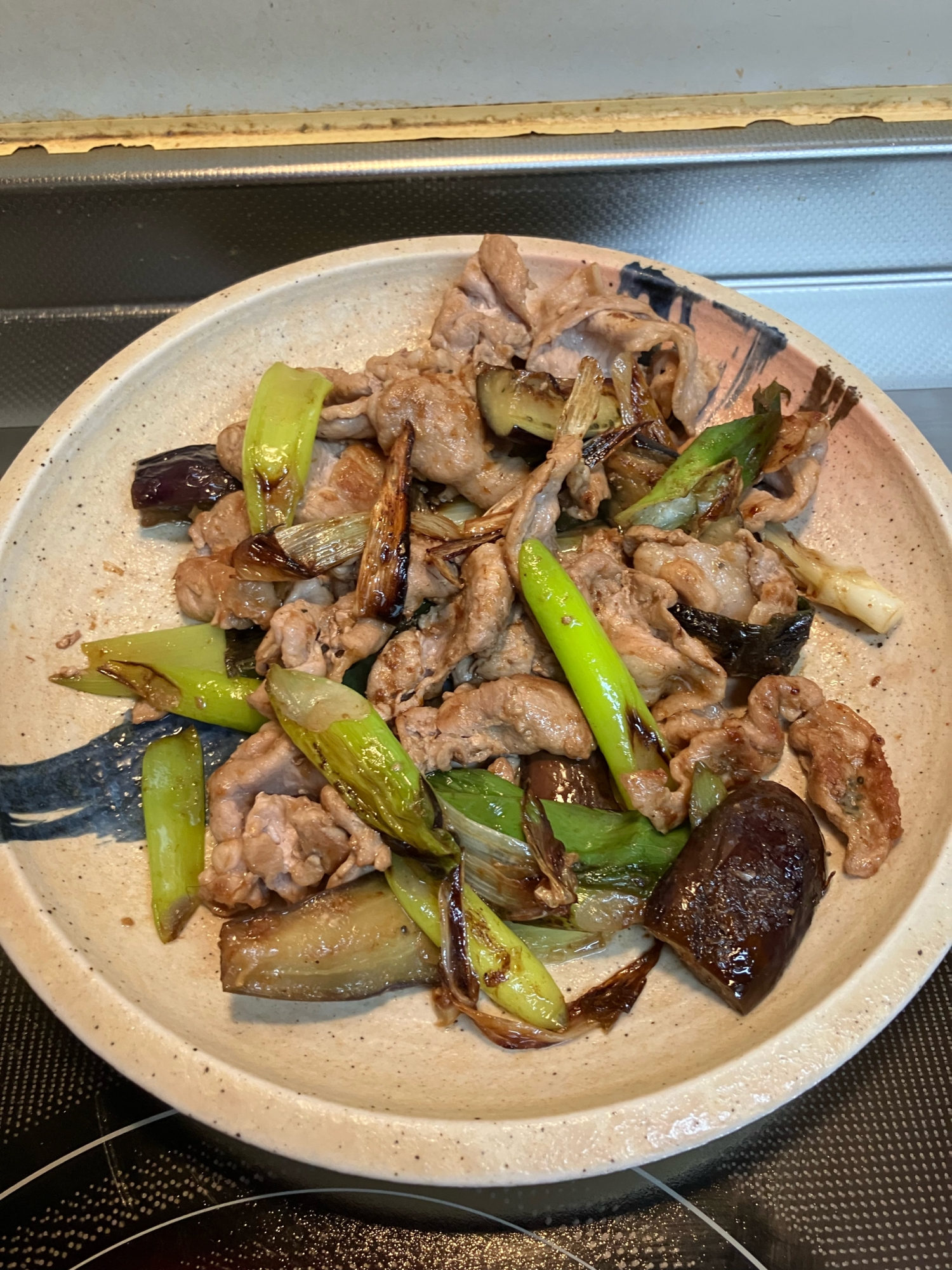 豚肉とナスと長ネギの和風♪生姜炒め^_^