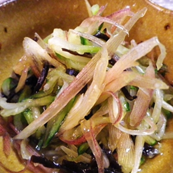 キュウリみょうがの塩昆布ごま油あえ レシピ 作り方 By Leopoo 楽天レシピ キュウリみょうがの塩昆布ごま油あえ レシピ 作り方 By Leopoo 楽天レシピ