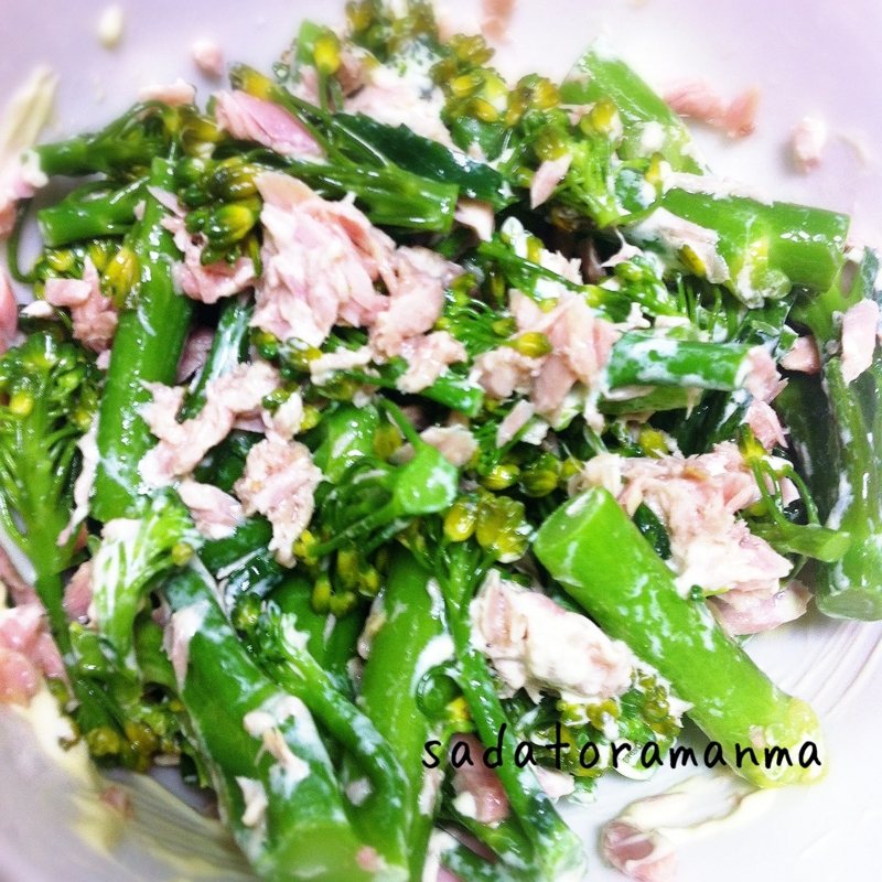 こどももパクパク 茎ブロッコリーとツナのマヨ和え レシピ 作り方 By Sadatosa 楽天レシピ