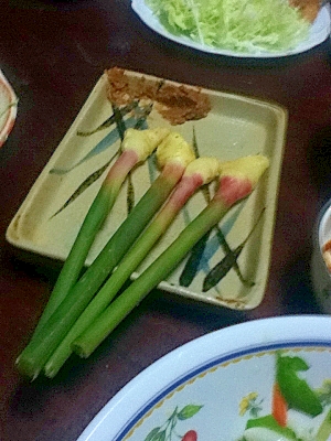 谷中生姜の甘味噌添え The定番 居酒屋メニュー レシピ 作り方 By とりあえず乾杯 楽天レシピ 谷中生姜の甘味噌添え The定番 居酒屋メニュー レシピ 作り方 By とりあえず乾杯 楽天レシピ