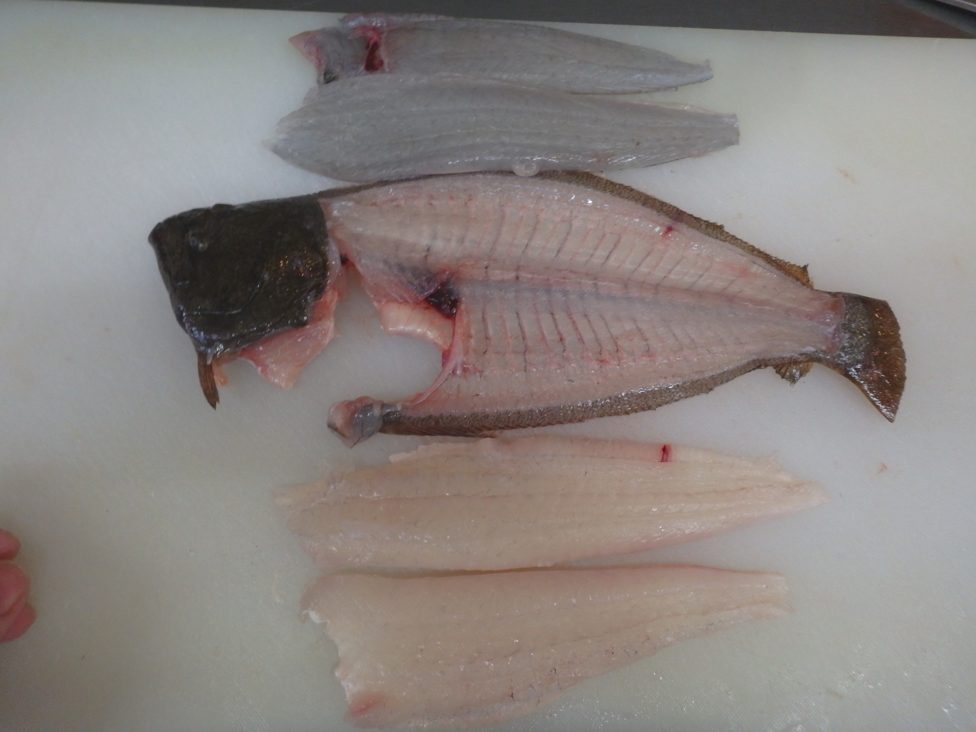 平目の3枚おろし レシピ 作り方 By 七福おパンダ 楽天レシピ 平目の3枚おろし レシピ 作り方 By 七福おパンダ 楽天レシピ