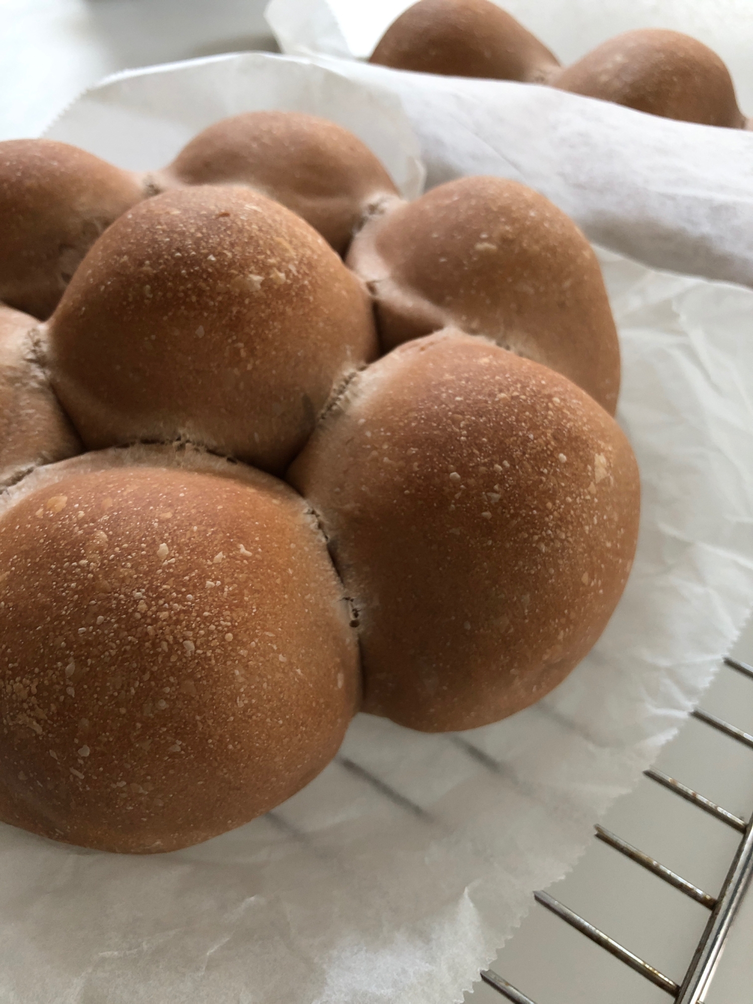 HBで簡単*ふわふわミルクココアパン