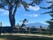 重助