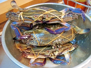 活渡り蟹のしめ方 レシピ 作り方 By ゆきちゃんぽんのパパ 楽天レシピ 活渡り蟹のしめ方 レシピ 作り方 By ゆきちゃんぽんのパパ 楽天レシピ