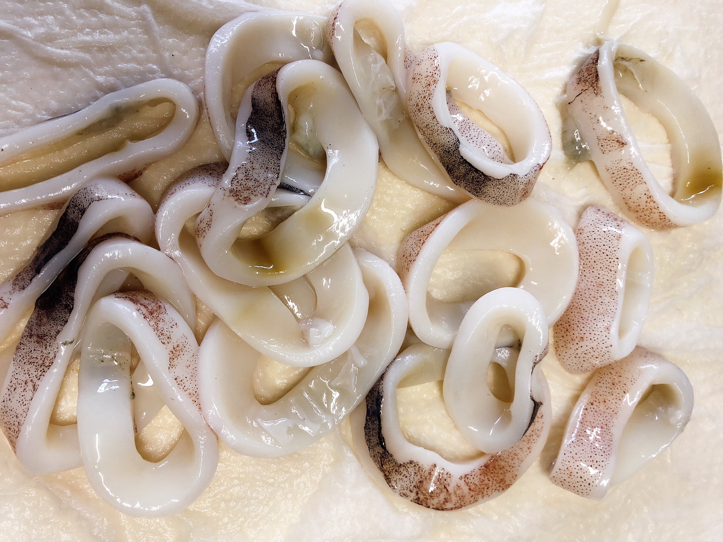 皮がついてもはねないイカフライ レシピ 作り方 By Cookingjuju 楽天レシピ 皮がついてもはねないイカフライ レシピ 作り方 By Cookingjuju 楽天レシピ