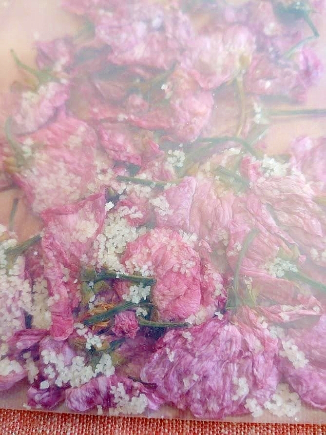 桜の花の塩漬け