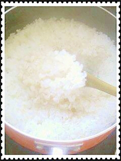 米も水も計量不要！鍋で美味しく炊飯。