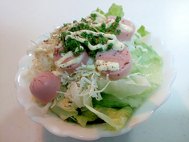 レタス・キャベツ・魚ニソ・クレススプラウトのサラダ
