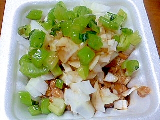 野沢菜と玉ねぎの納豆