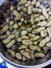 茹で落花生冷凍して保存 レシピ 作り方 By 眠りヤマネ 楽天レシピ