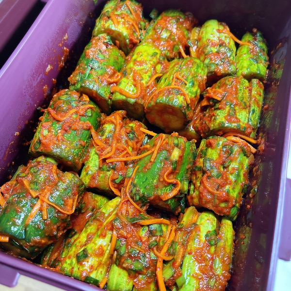 韓国本場のオイキムチ 오이소박이 レシピ 作り方 By ネサラン 楽天レシピ 韓国本場のオイキムチ 오이소박이 レシピ 作り方 By ネサラン 楽天レシピ