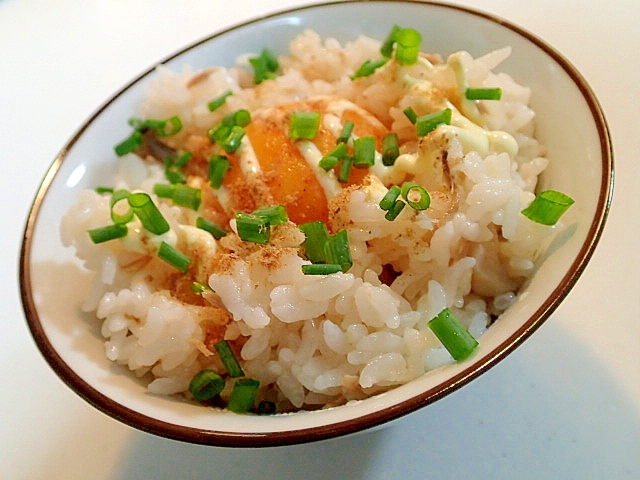 炊き込みご飯で　卵黄・葱のっけてご飯