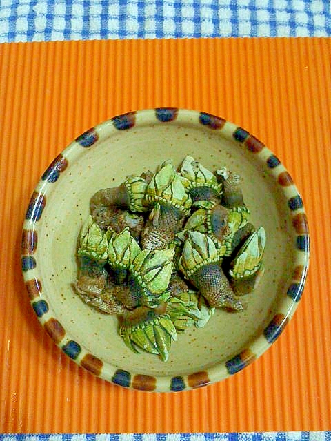 亀の手の塩茹で レシピ 作り方 By テツオ63 楽天レシピ 亀の手の塩茹で レシピ 作り方 By テツオ63 楽天レシピ