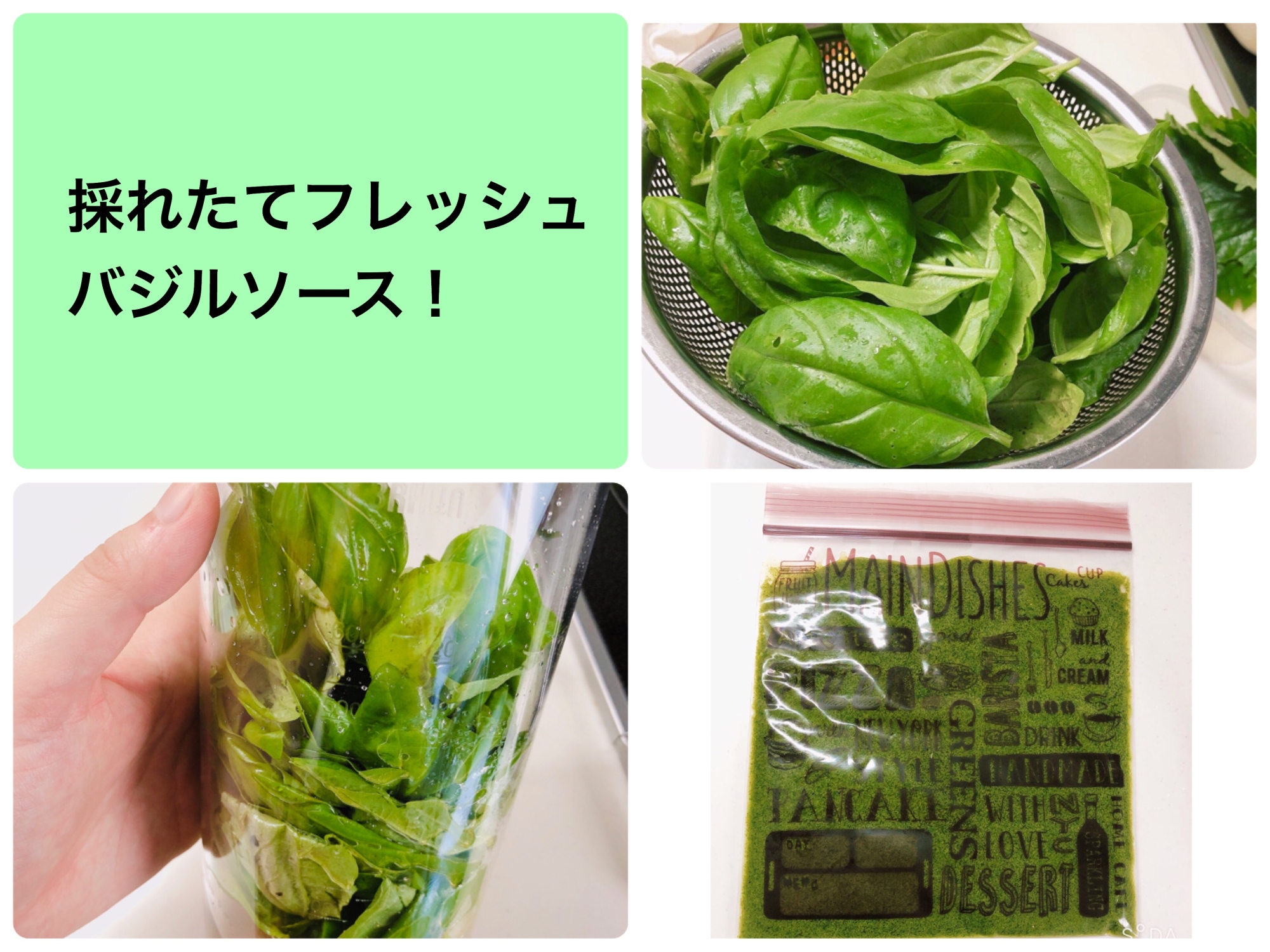 家庭菜園バジル消費 ジェノベーゼソース レシピ 作り方 By いちか W 楽天レシピ