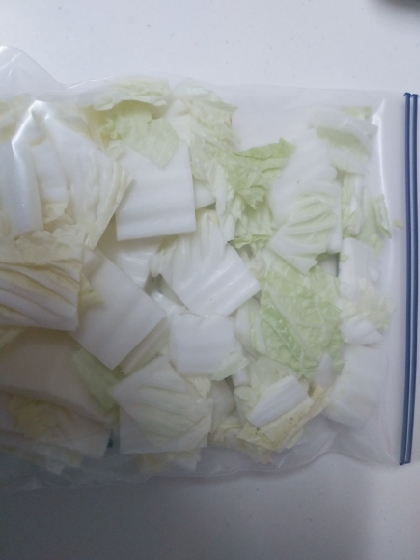 白菜の芯の冷凍保存