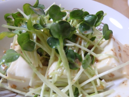 カイワレを立ててみたらボリュームがでました（笑）
ゴマドレと豆腐もあいますね～