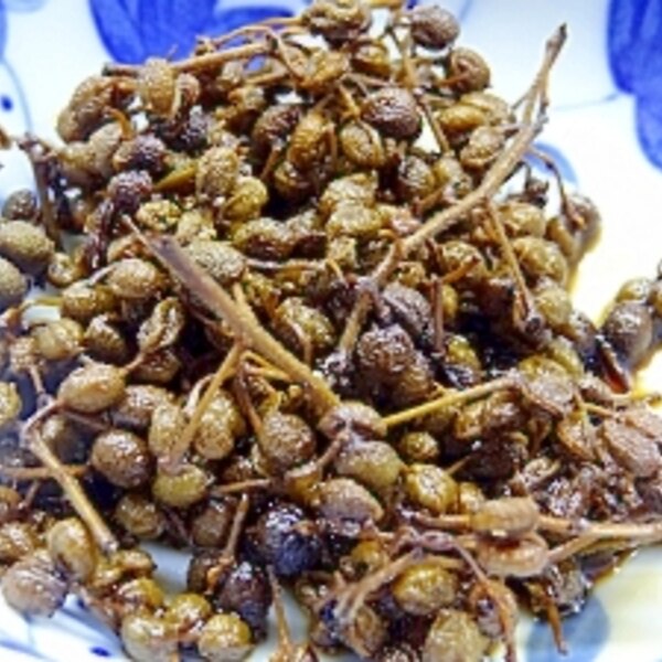 調理用 山椒の実の佃煮 レシピ 作り方 By Tirutiru115 楽天レシピ 調理用 山椒の実の佃煮 レシピ 作り方 By Tirutiru115 楽天レシピ