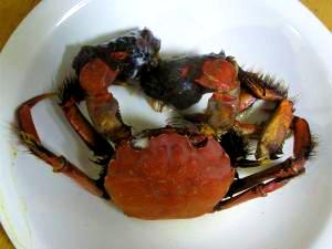 せこ蟹の味噌汁 レシピ 作り方 By Susiya Com 楽天レシピ せこ蟹の味噌汁 レシピ 作り方 By Susiya Com 楽天レシピ