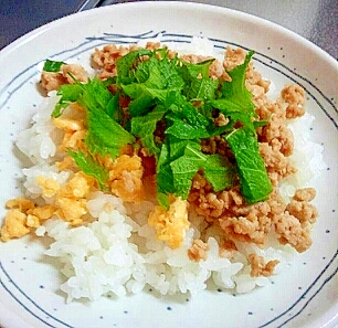 夏のミニ三色丼！