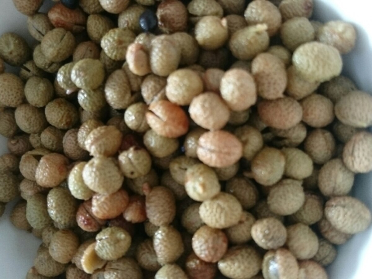 乾燥実山椒の戻し方 レシピ 作り方 By Conori 楽天レシピ 乾燥実山椒の戻し方 レシピ 作り方 By Conori 楽天レシピ