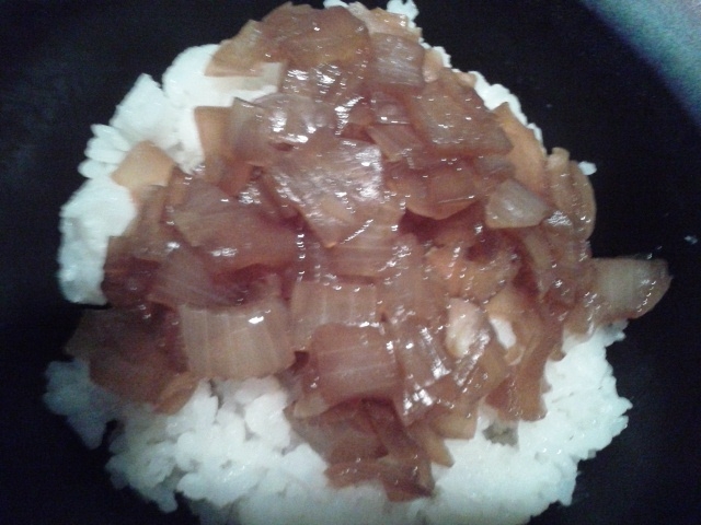 貧乏飯！玉ねぎ丼