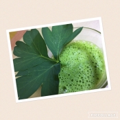 長命草 サクナ ジュース レシピ 作り方 By Wakuwaku3169 楽天レシピ 長命草 サクナ ジュース レシピ 作り方 By Wakuwaku3169 楽天レシピ